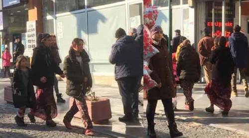 Eskişehir'de vatandaşın kâbusu oldular: Peşlerine takılıp...
