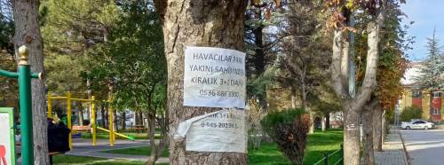 Eskişehir'de vatandaşlar isyan etti: Ağaçlara zarar veriliyor!