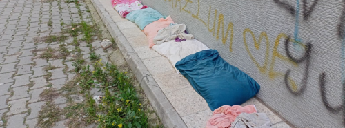 Eskişehir’de vatandaşlar sokak hayvanlarını unutmadı