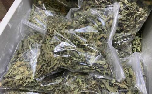 Eskişehir’de vatandaşlar stresi bitkilerle aşıyor