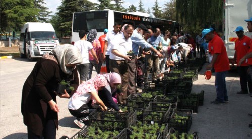 Eskişehir'de vatandaşlara on binlerce çiçek!