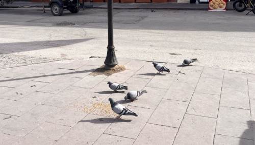 Eskişehir'de vatandaştan duyarlı davranış