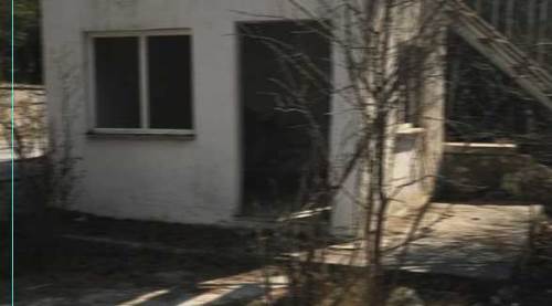 Eskişehir'de vicdanları sızlatan görüntü: Harabe gibi...