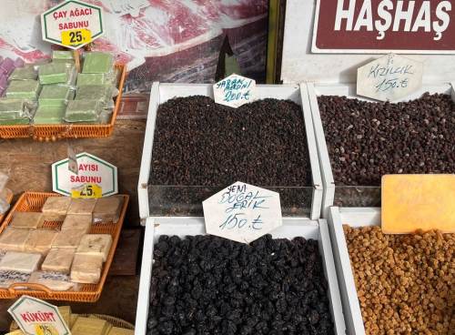 Eskişehir'de yaban mersini yok satıyor