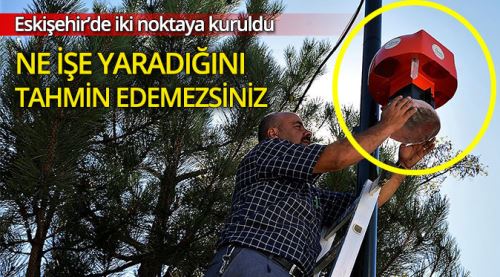 Eskişehir'de yalnızca iki noktaya kuruldu ve artık...