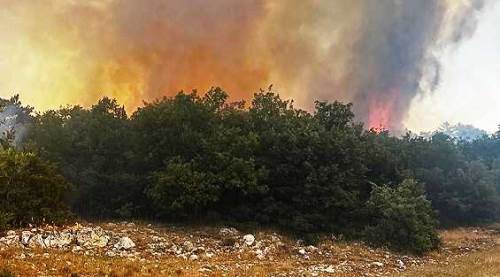 Eskişehir'de yangın alarmı: Seyitgazi yanıyor!