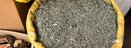 Eskişehir'de yarpuzun fiyatı dudak uçuklatıyor 