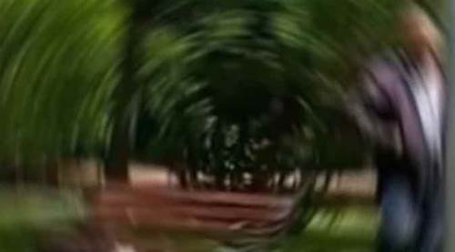 Eskişehir'de yaşlı kadını parka çağırıp...