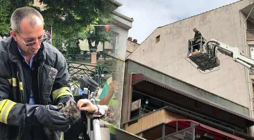 Eskişehir'de yavru kedi böyle kurtarıldı