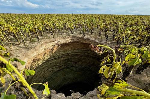  Eskişehir'de yeni bir tehdit!