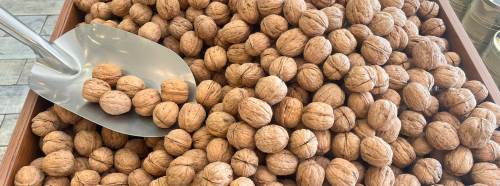 Eskişehir’de yeni mahsul ceviz 340 liradan tezgahta!