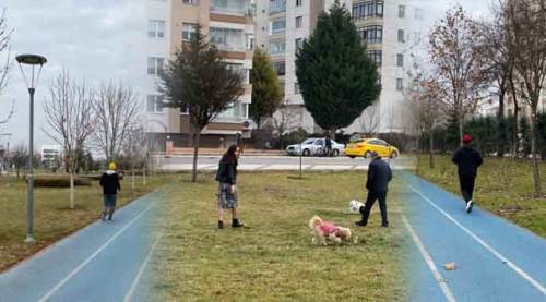 Eskişehir'de yeni yılın ilk sabahının gözdesi...