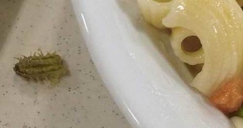 Eskişehir’de yeniden ‘kurtlu yemek’ krizi: 10 gün olmadan…