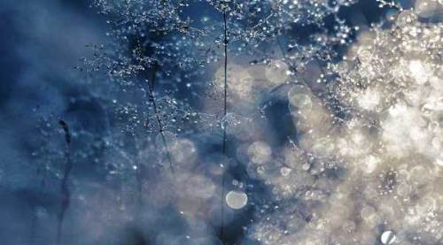 Eskişehir'de Yeniden Refah Partisi sert çıktı: Soğuktan öldüler...