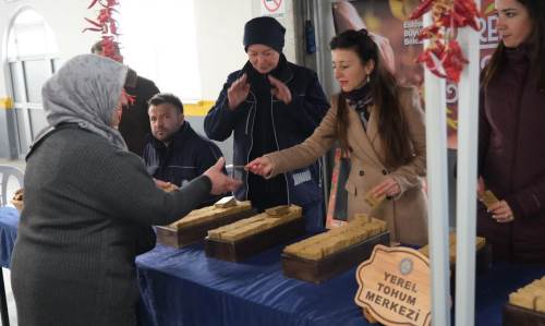 Eskişehir'de yerel tohumlar vatandaşlarla buluştu