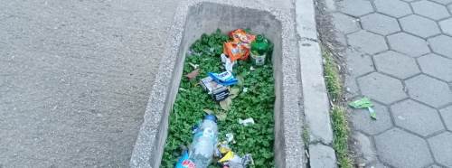 Eskişehir’de yeşil alan ihmali: Saksılar çöplüğe döndü!