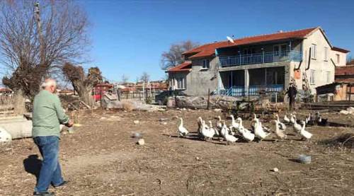 Eskişehir'de yetiştiriyor, kapışılıyor!