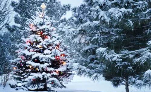 Eskişehir'de yılbaşı gecesi hava durumu nasıl olacak? Kar yağışı olacak mı?