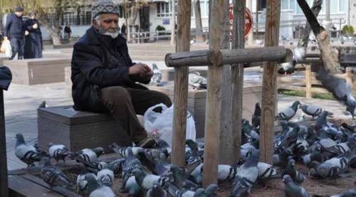 Eskişehir'de yıllardır onları besliyor