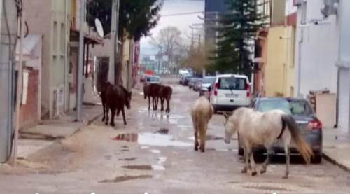 Eskişehir'de yine aynı görüntü!