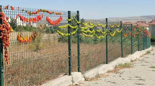 Eskişehir'de yol kenarında ilginç görüntü