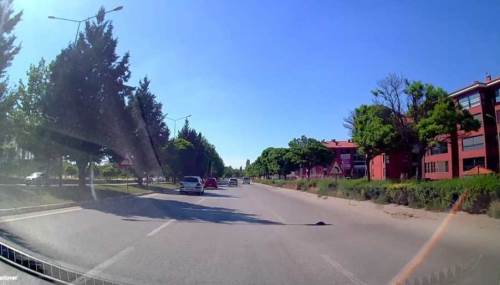 Eskişehir’de yolda mahsur kalan kaplumbağayı vatandaş kurtardı