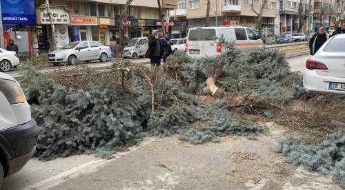 Eskişehir'de yollar ulaşıma kapandı: Fırtına ağaçları devirdi!