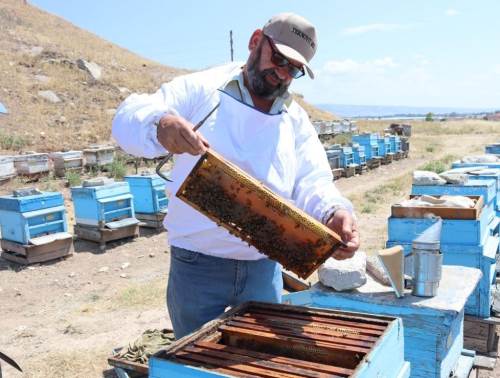 Eskişehir'de yüksek sıcaklar bal üretimini de vurdu!