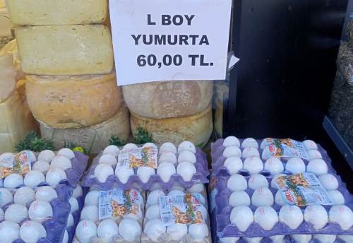 Eskişehir'de yumurta fiyatı orada 60 TL!