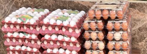 Eskişehir’de yumurta fiyatı tırnak ısırtıyor