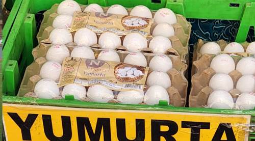 Eskişehir'de yumurta fiyatları yeniden yükselişte