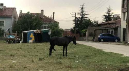Eskişehir’de yürek burkan görüntü: Kaderine terk edildi!