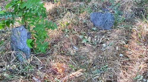 Eskişehir'de yürek burkan mezarlar: Parkın içinde...