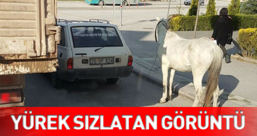Eskişehir'de yürek sızlatan görüntü!