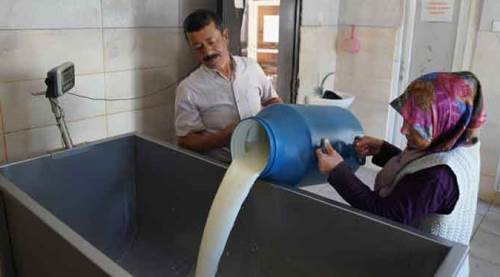 Eskişehir'de yüz güldüren proje