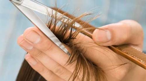 Eskişehir'de yüzleri güldüren proje: Çocuklar için ücretsiz!