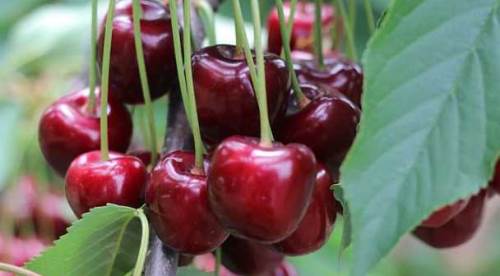 Eskişehir'de zarar açıklanandan çok daha fazla