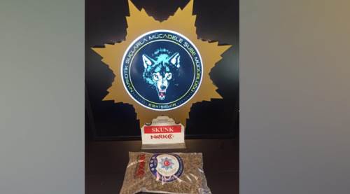 Eskişehir'de zehir operasyonu: 1 kilogram esrar ele geçirildi