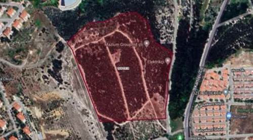 Eskişehir'deki ağaç kıyımı iddiasına ilginç açıklama