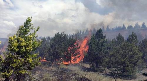 Eskişehir'deki anız yangınında faciadan dönüldü