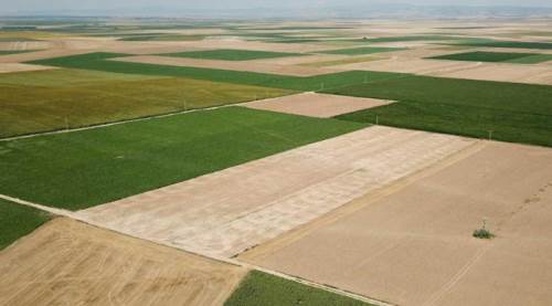 Eskişehir'deki arsalara akın ettiler: İstanbul'dan geliyorlar...