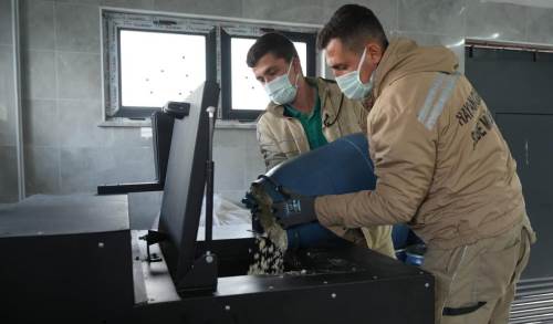 Eskişehir'deki atık yemekler sokak hayvanlarına mama oluyor