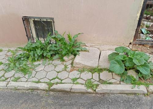 Eskişehir'deki bakımsız kaldırımlar dikkat çekti