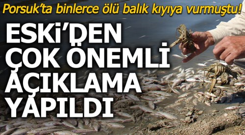 Eskişehir'deki balık ölümleri ile ilgili flaş açıklama
