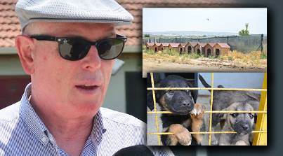 Eskişehir'deki barınak krizinin perde arkası: Kazım Kurt vazgeçmiyor!