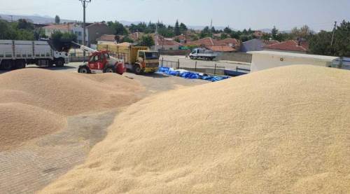 Eskişehir'deki belediyenin büyük başarısı 500 aileyi sevindirecek