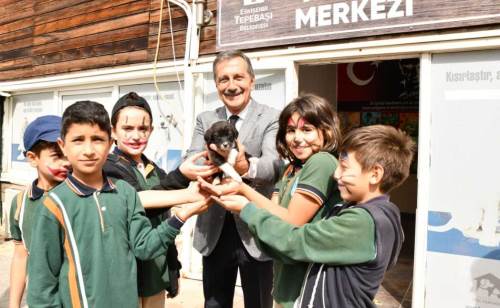 Eskişehir'deki belediyenin can dostları karnesi 'pekiyi'