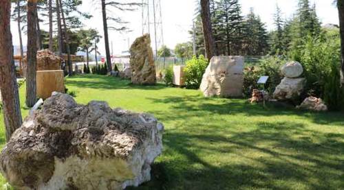 Eskişehir'deki bu "okul" görenleri kendine hayran bırakıyor!