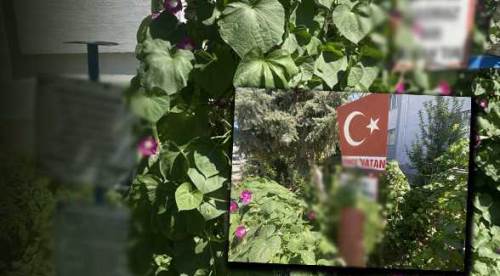 Eskişehir'deki bu apartman bahçesine herkesin gözü takılıyor