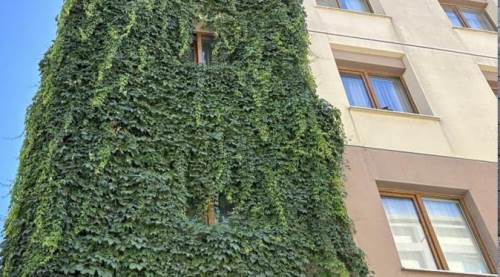 Eskişehir'deki bu apartman görüntüsüyle dikkat çekiyor 